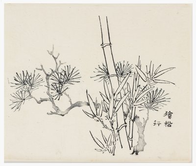 十竹シリーズ、18世紀 作： Chinese School