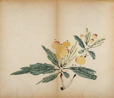 Ten Bamboo Studio Prints、1643（木版） 作： Chinese School