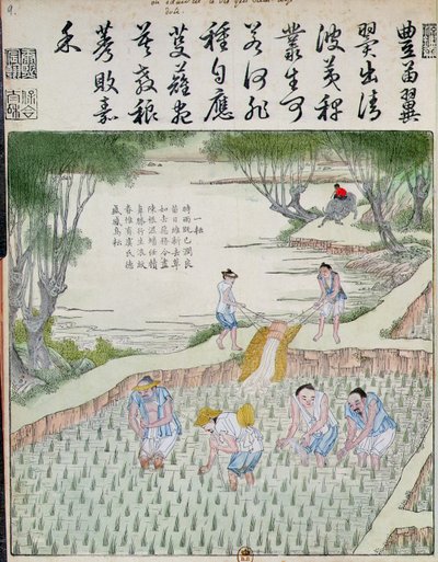 除草、中国の米文化（カラー木版画） 作： Chinese School