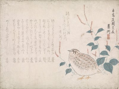 ウズラ 作： Chokko Roshû