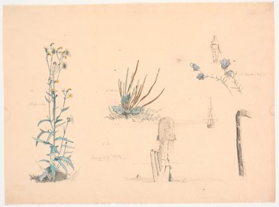 植物研究。 銭湯橋と船 作： Christen Dalsgaard