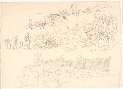 湖に沿った道。 さまざまな植物研究とこれらに関する注意事項 作： Christen Købke