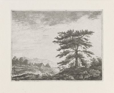 荒野の木 作： Christiaan Wilhelmus Moorrees