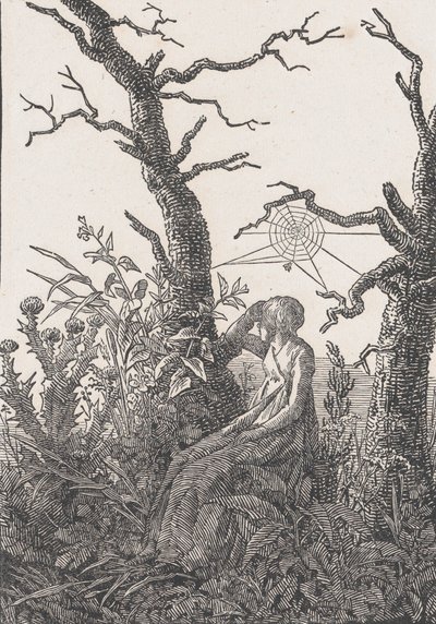蜘蛛の巣で座っている女性 作： Christian Friedrich