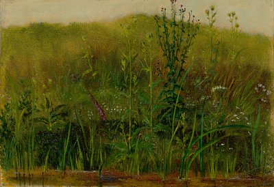 土手の植物 作： クリスチャン・フリードリヒ・ジル