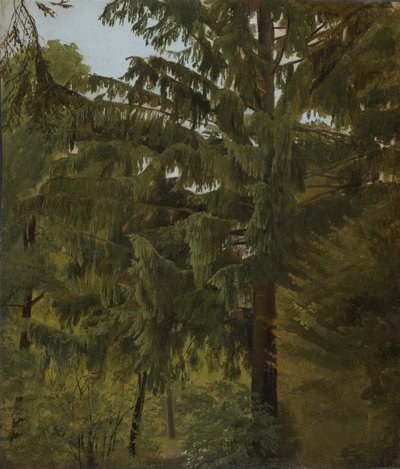 落葉樹林のモミ 作： Christian Friedrich Gille
