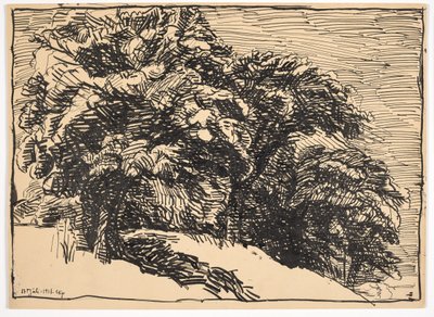 崖っぷちの樫の木 作： Christian Kongstad Petersen