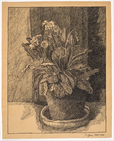 プリムローズの植木鉢 作： Christian Kongstad Petersen