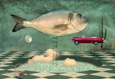 シュールな魚の夢の世界 作： Christian MARCEL