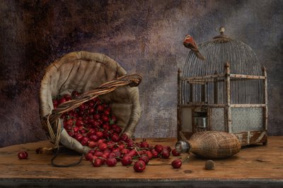  作： Christian MARCEL