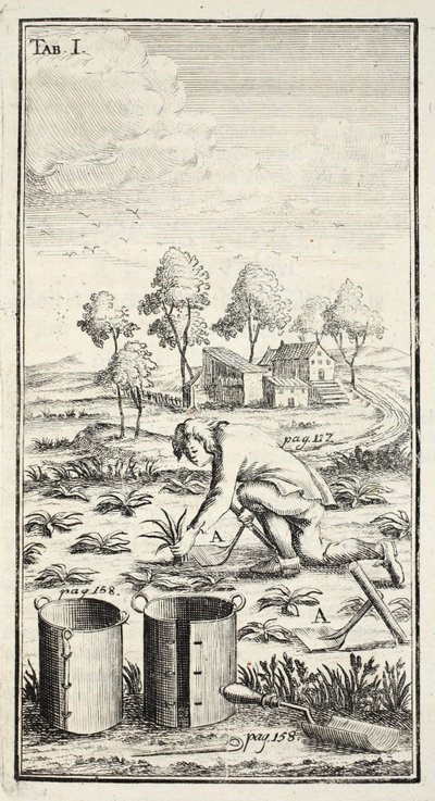 庭師の収穫、パブ。チューリンゲンのエアフルト、1753年から55年 作： Christian Reicharts