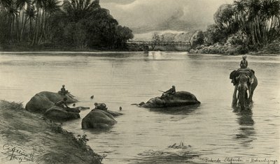 マハウェリ川で水浴びをするゾウ、セイロン、1898年。 作： Christian Wilhelm Allers