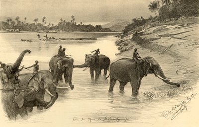 1898 年、セイロンのマハウェリ川のほとりにいるゾウ。 作： Christian Wilhelm Allers