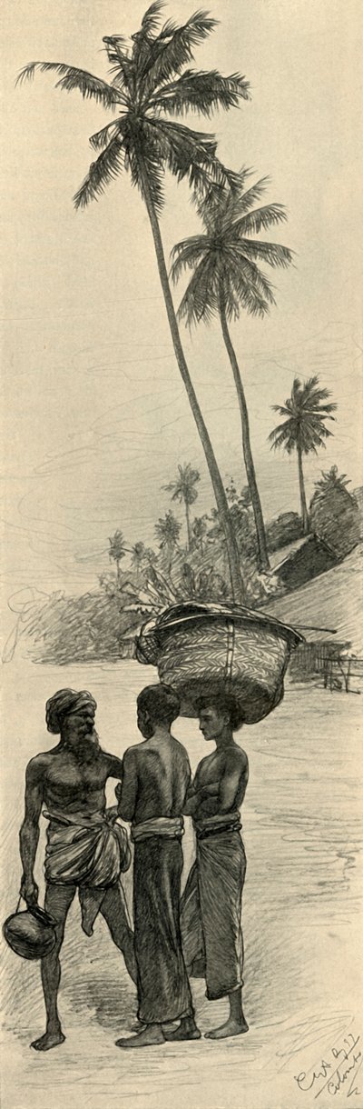 男性のグループ、コロンボ、セイロン、1898年。 作： Christian Wilhelm Allers
