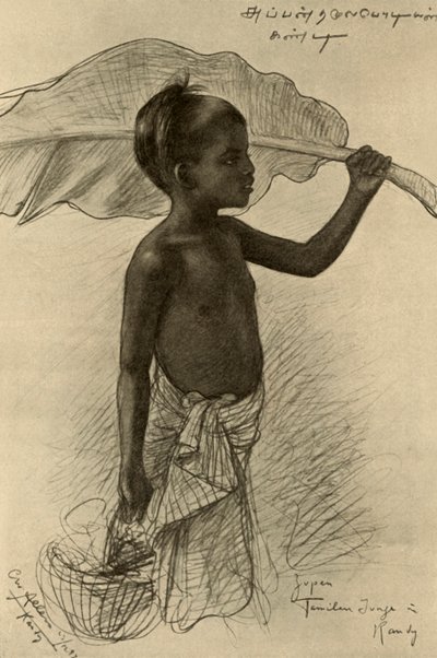 タミル人の少年、キャンディ、セイロン、1898 年。 作： Christian Wilhelm Allers