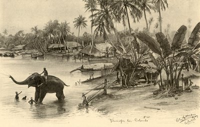 川で象を洗う、コロンボ、セイロン、1898年。 作： Christian Wilhelm Allers