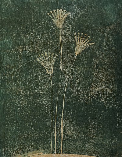 緑の花 作： Christina Misuro