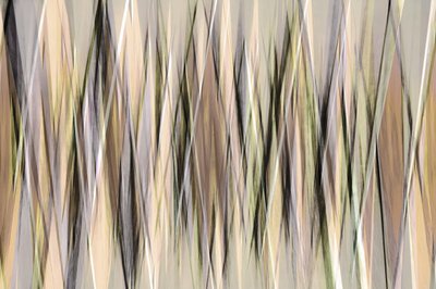  作： 
