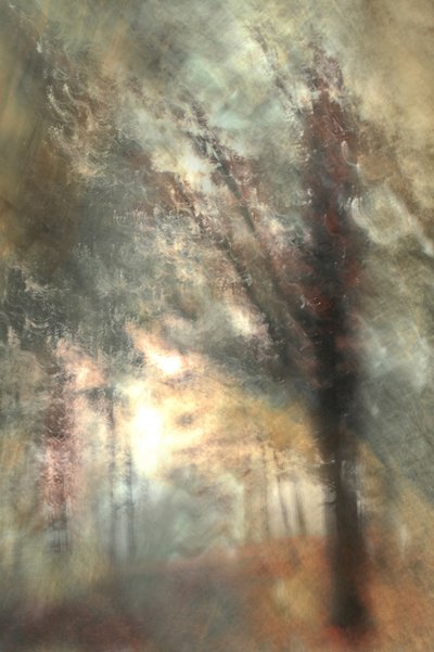  作： Christina Sillen