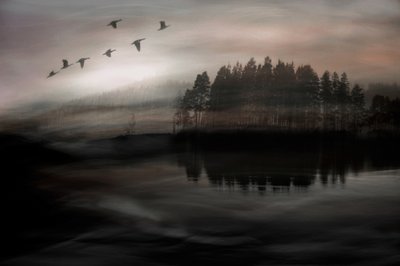 霧の湖の上を飛ぶ鳥たち 作： Christina Sillen