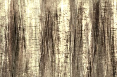 夢のような森のライン 作： Christina Sillen