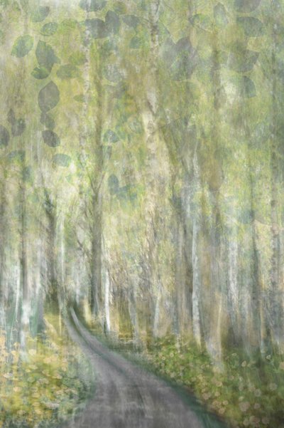 夢のような森の小道 作： Christina Sillen