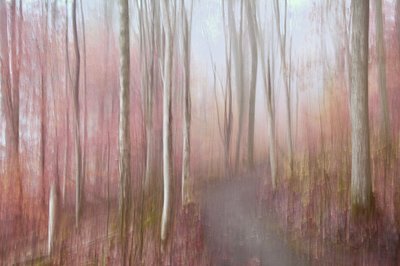  作： Christina Sillen