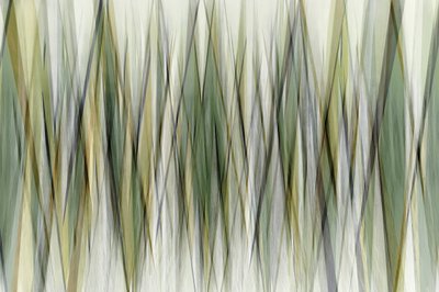 アースカラーの幾何学的なライン 作： Christina Sillen