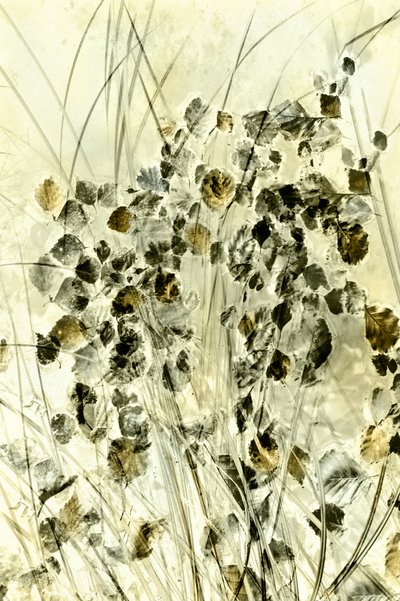 幻想的な植物の造形 作： 