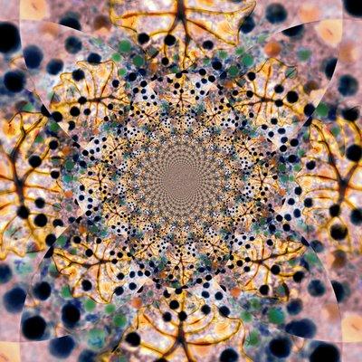  作： 