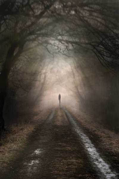 霧の道に佇む一人の姿 作： Christina Sillen