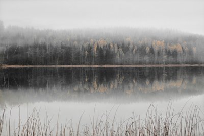 霧の立ち込める秋の湖 作： Christina Sillen