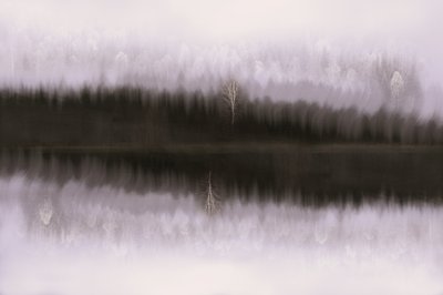霧に包まれた白樺の映り込み 作： Christina Sillen