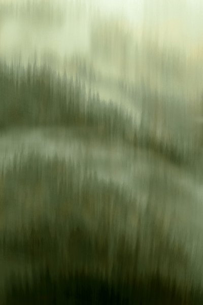 霧の森の静寂 作： 