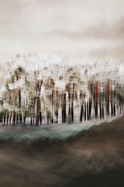 霧の森の静寂 作： Christina Sillen