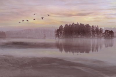 霧の湖の鳥の群れ 作： Christina Sillen