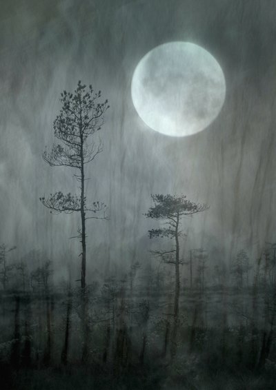  作： Christina Sillen