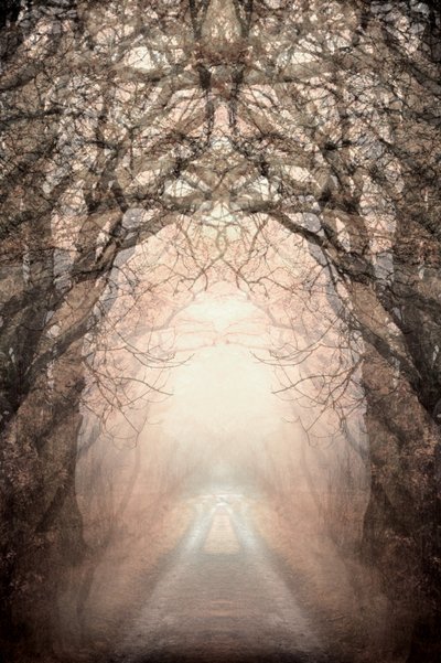  作： Christina Sillen