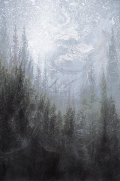 霧の立ち込める冬の森 作： Christina Sillen