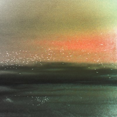 海の鳥　赤い空 作： 