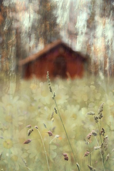 静かな納屋の野原 作： Christina Sillen
