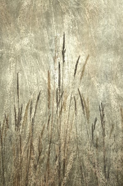  作： 