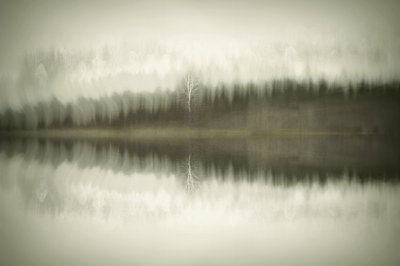  作： 