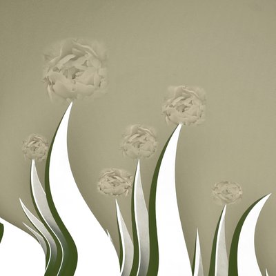 ほのかなクリーム色の花 作： Christina Sillen