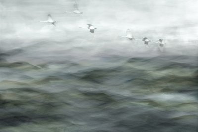  作： 