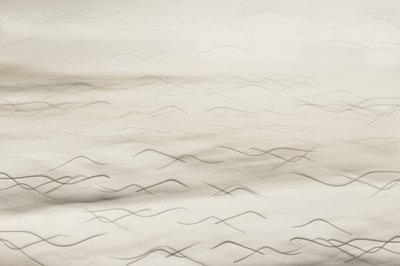  作： Christina Sillen