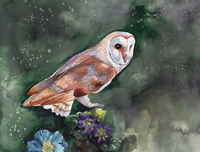メンフクロウ　夜の開花 作： 