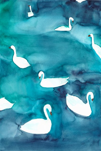 水面に浮かぶ優雅な白鳥たち 作： 
