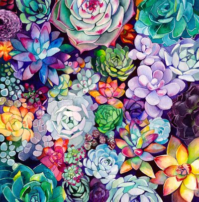 色鮮やかな多肉植物の庭 作： 