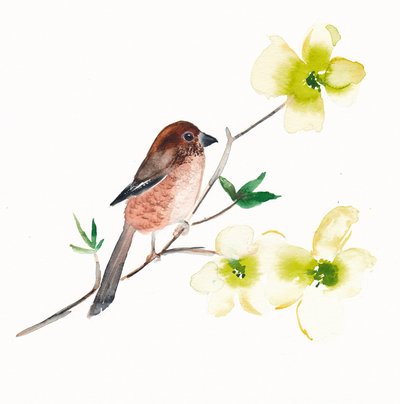 水彩画の鳥と花 作： 